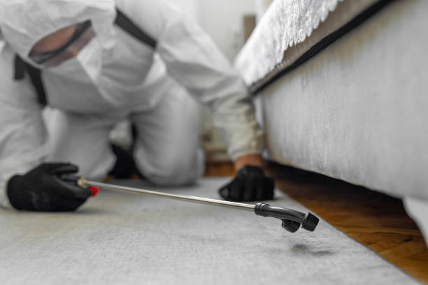 Professional Cockroach Control technician working in Sharon, WI